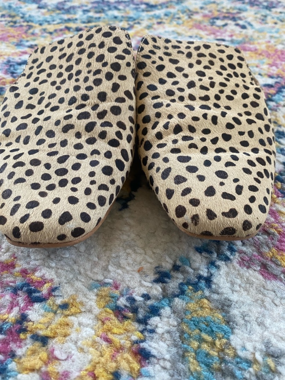 Dolce Vita Shoes - Picture 9 of 11